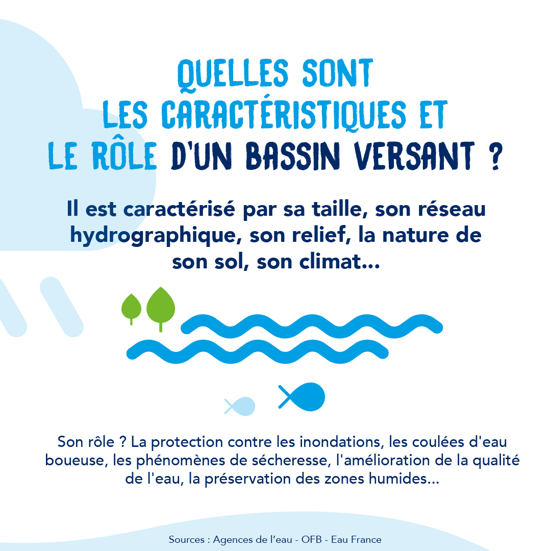 cours d'eau 3