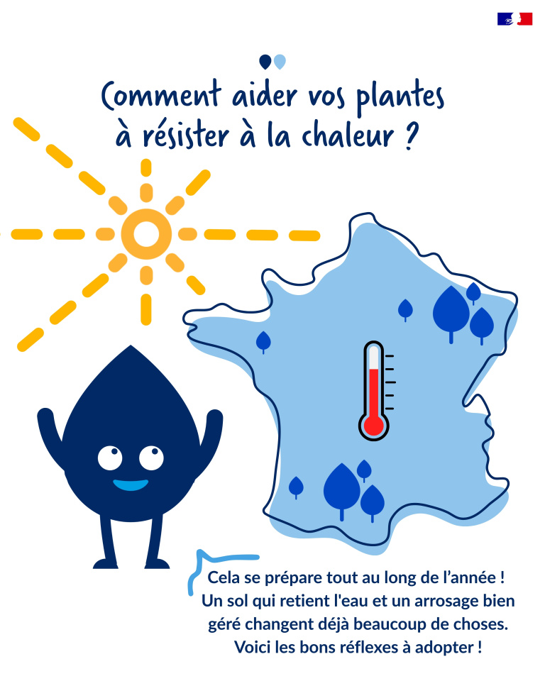 plantes 1