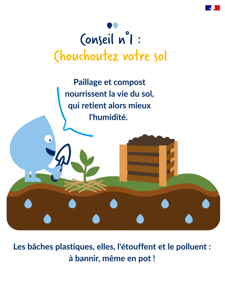 plantes 2