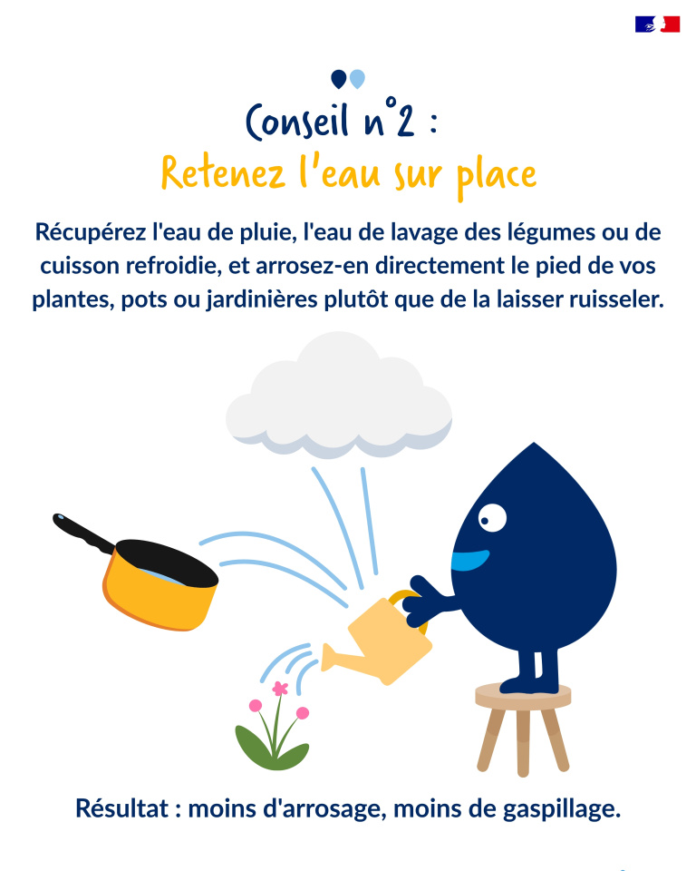 plantes 3