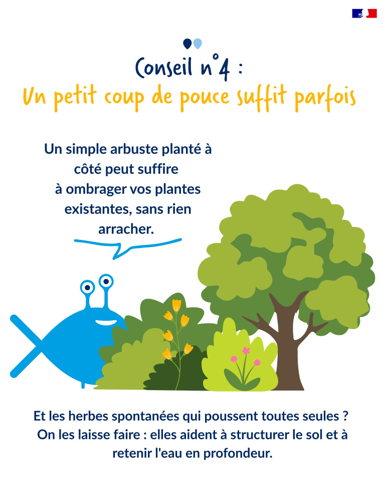 plantes 5