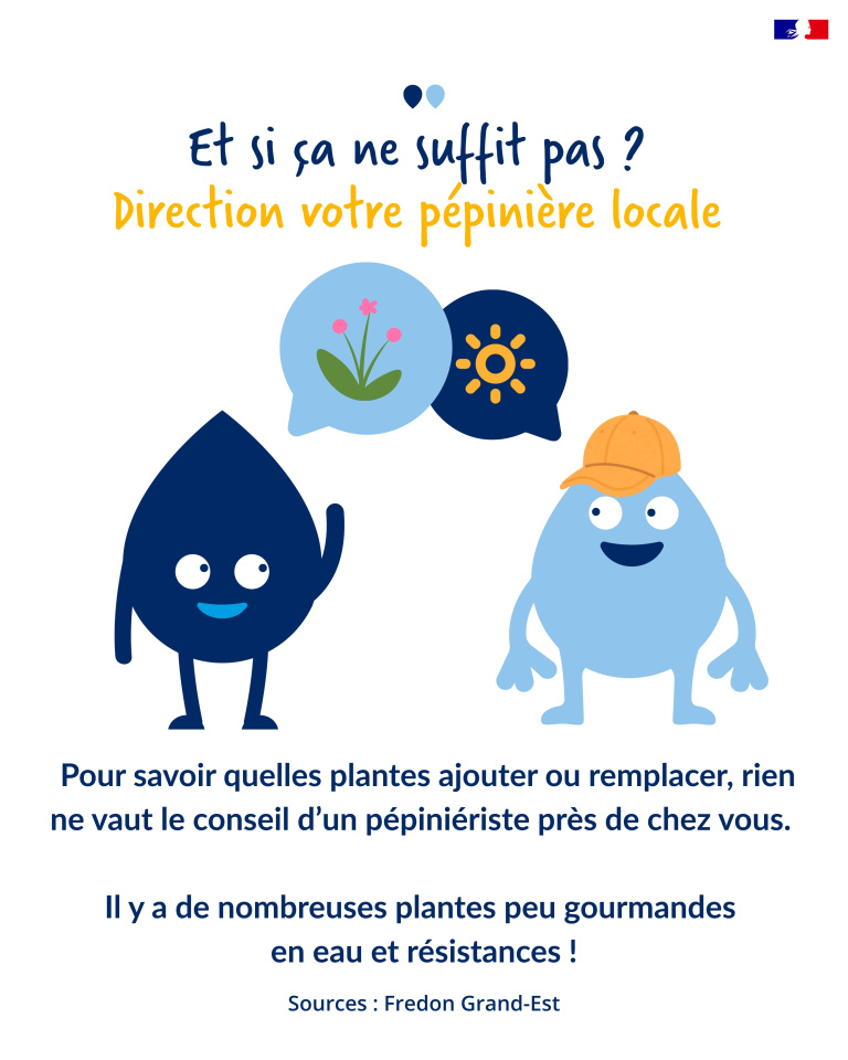 plantes 6
