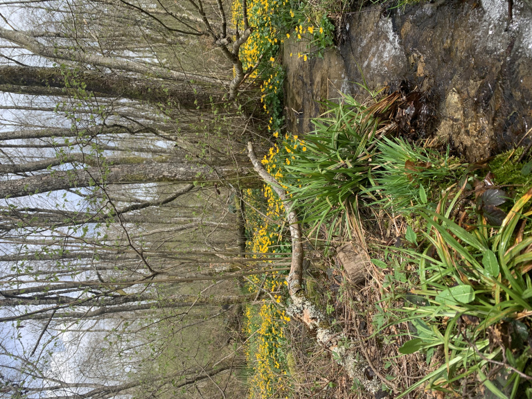 tourbière morvan