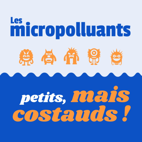 réduction des micropolluants