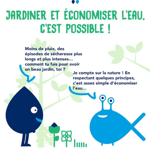 économies d'eau dans les jardins