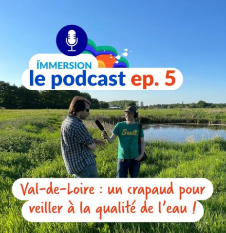 podcast 5