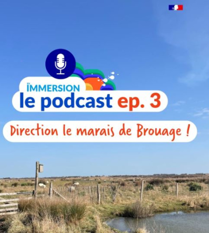marais de brouage