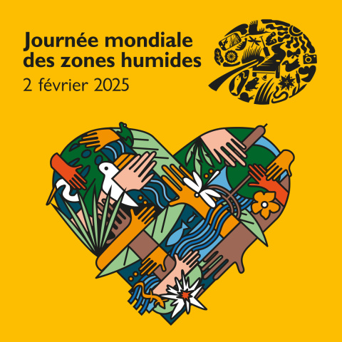 JMZH2025