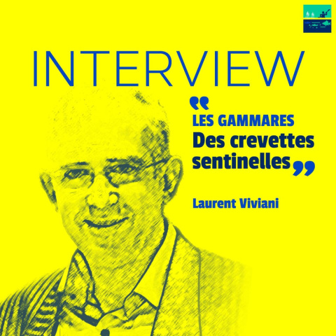 interview viviani