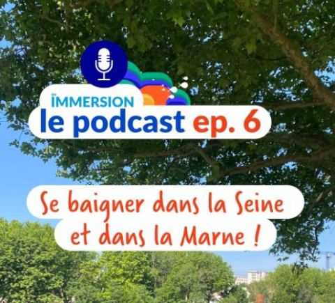podcast 6