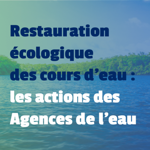 restauration : les actions des agences de l'eau