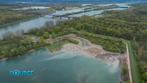 Roselière Beinheim (67) - eau, Rhin, rivière, végétation, arbres 