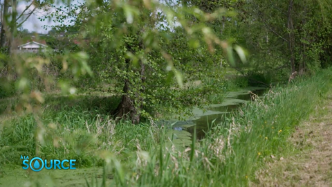 A la source - Comment améliorer le cadre de vie en valorisant l'eau de pluie