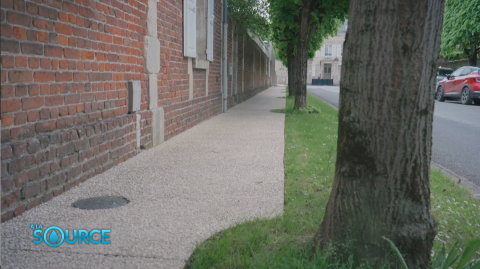 rue, Trottoir, arbre