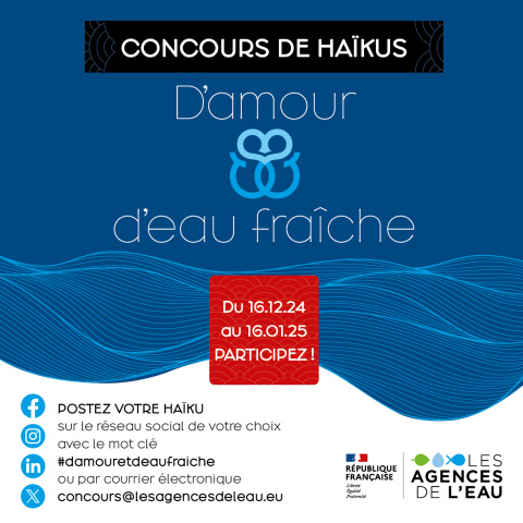 concours haïkus