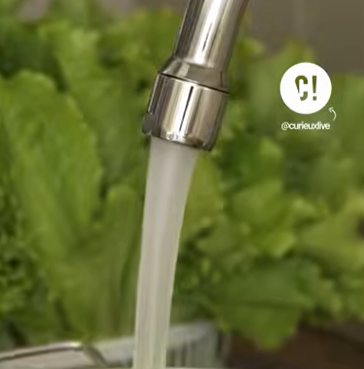 eau du robinet