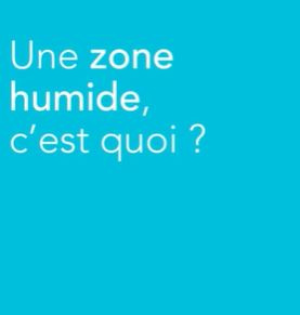 qu'est-ce qu'une zone humide ?