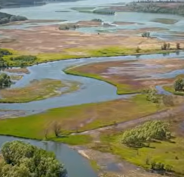 curieux et méandres