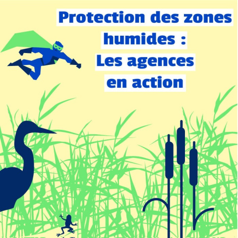 Protection de zones humides : Las agences en action