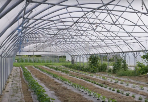 agriculture