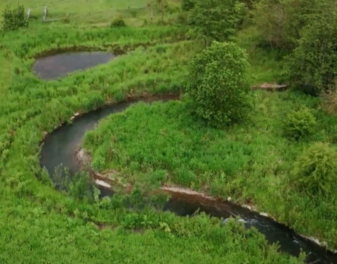 Rivière 
