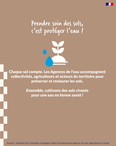 infographie sols vivants