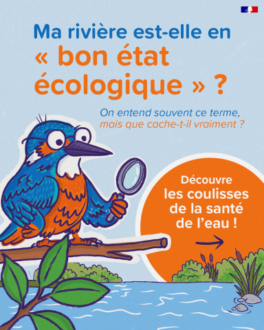 bon état
