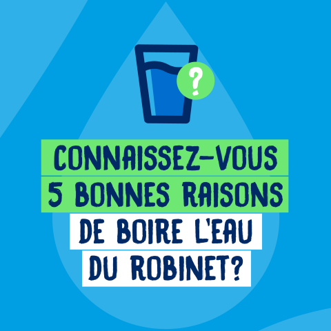 eau du robinet