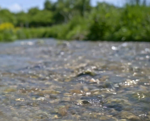 visuel de cours d'eau