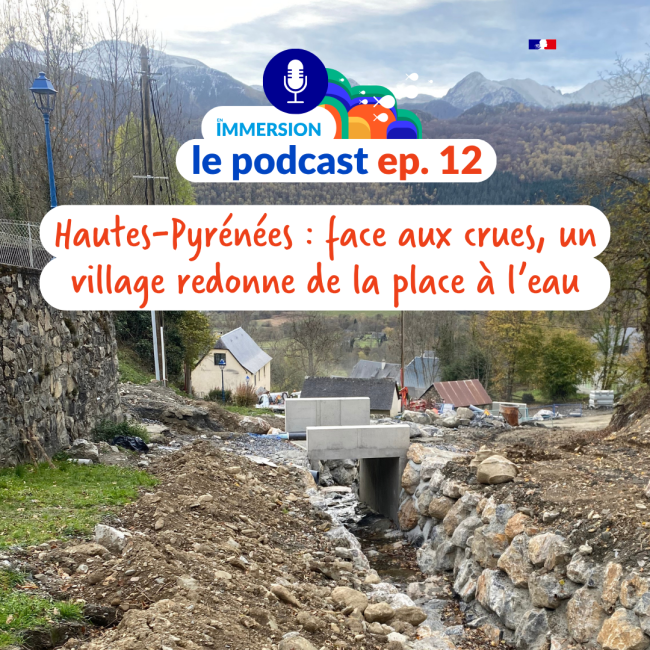 podcast 12
