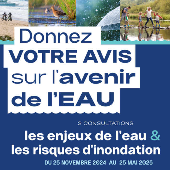 consultation du public