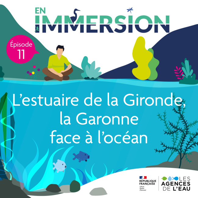 l'estuaire de la Gironde