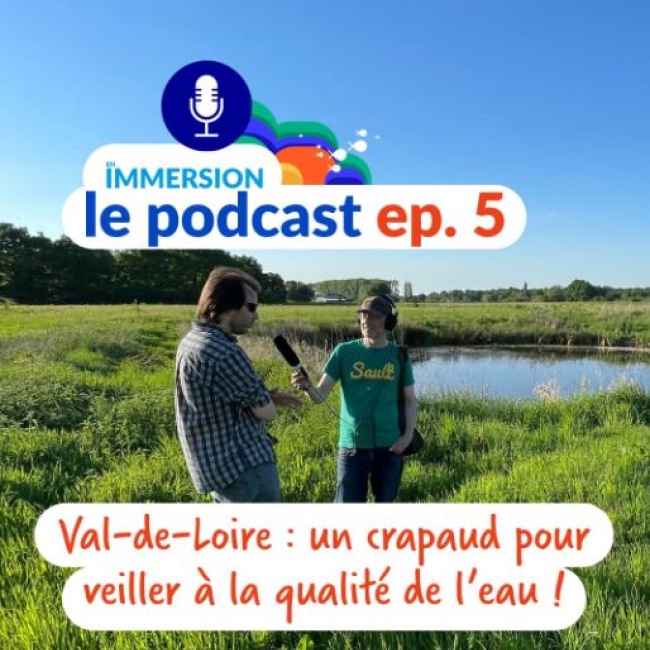 podcast 5