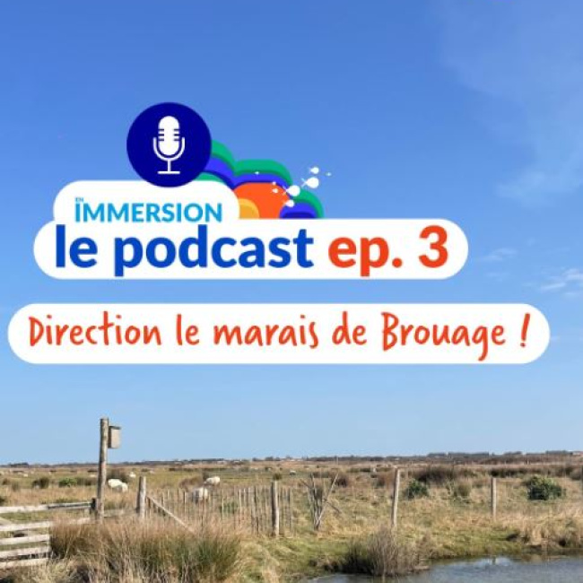 marais de brouage