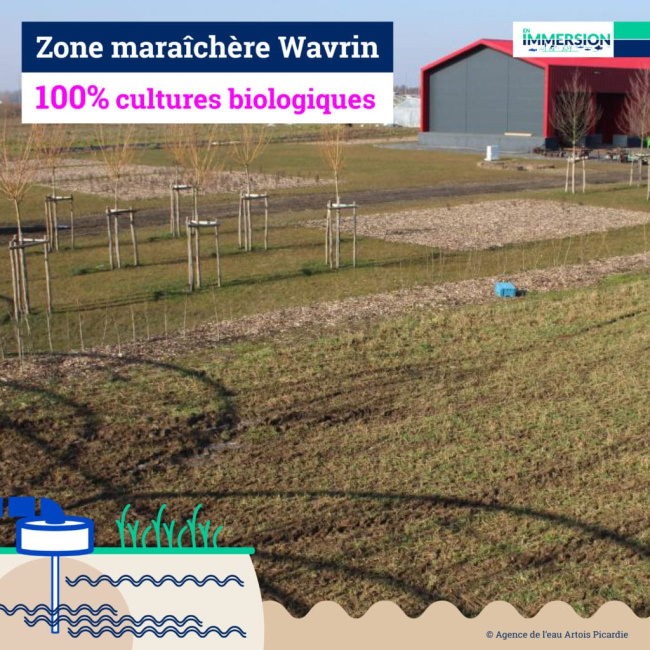 La zone maraichère Wavrin