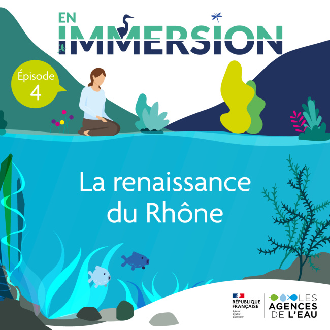 La renaissance du Rhône