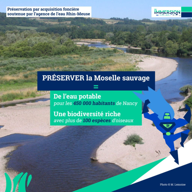 Photo de la Moselle sauvage