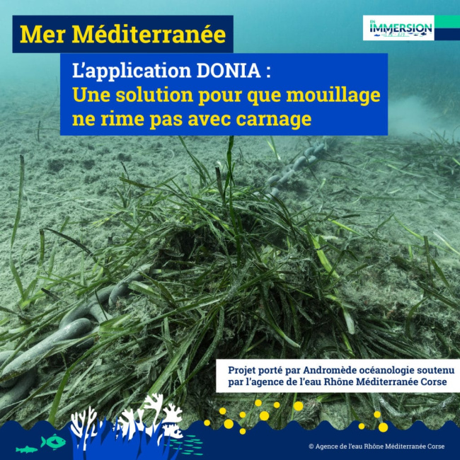 Donia : une application pour protéger la mer Méditerranée