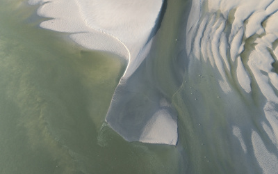 sable
