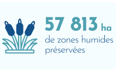 57813 ha de zones humides préservées