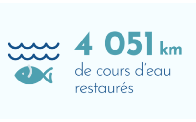 4 051 Km de cours d'eau restaurés