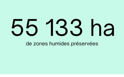 zones humides 2024